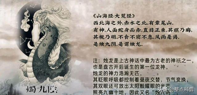 世界上最大的蟒蛇，世界上最大的蟒蛇是什么蛇啊（世界上最大的蛇是哪种）