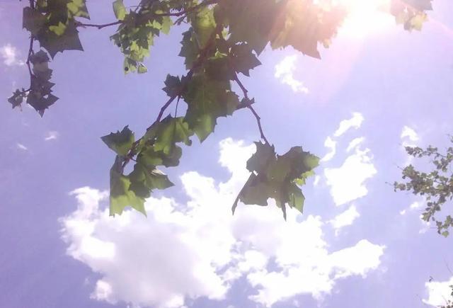 8月7日几点立秋，2020年立秋具体时间几点到几点（2022年阴历七月初十立秋）