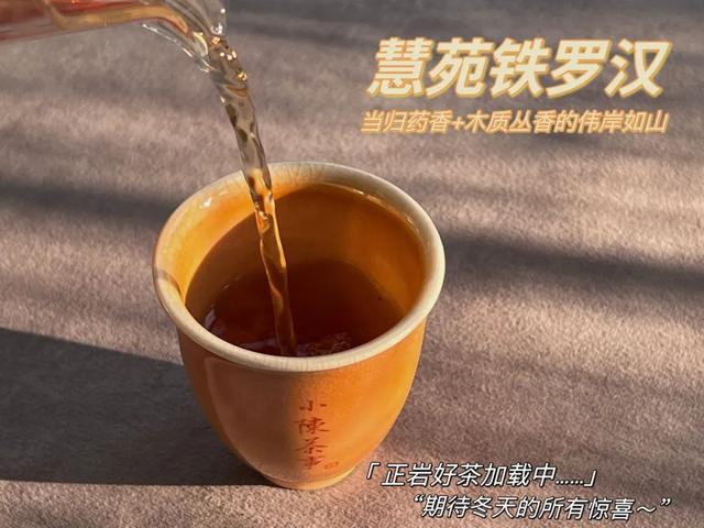 铁罗汉是什么茶，铁罗汉茶属于什么茶（不识慧苑老丛铁罗汉）