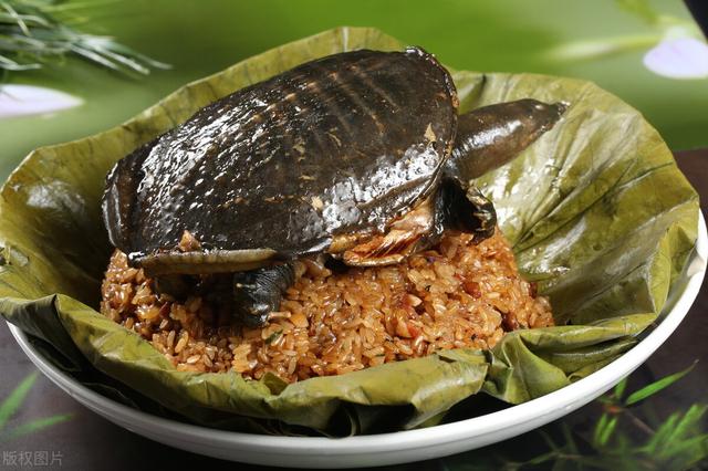 甲鱼什么时候出来觅食，甲鱼晚上几点靠近岸边（“上岸甲鱼莫伸手）