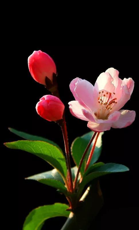 情侣网名简单干净，简单的四字情侣网名  不负情深°| 不离久伴°（你是我此生最牵挂的人）