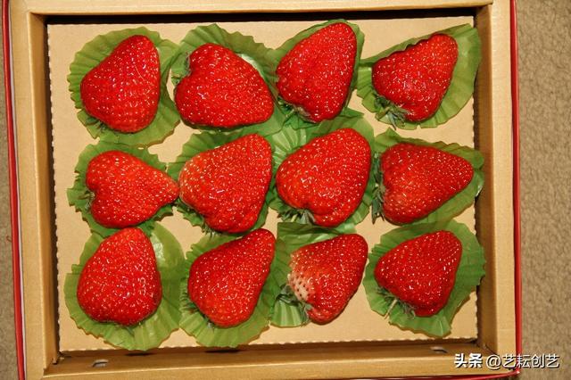 辽宁省有哪些市，锦州附近都有哪些城市（全国地理标志农产品目录系列之辽宁省——）