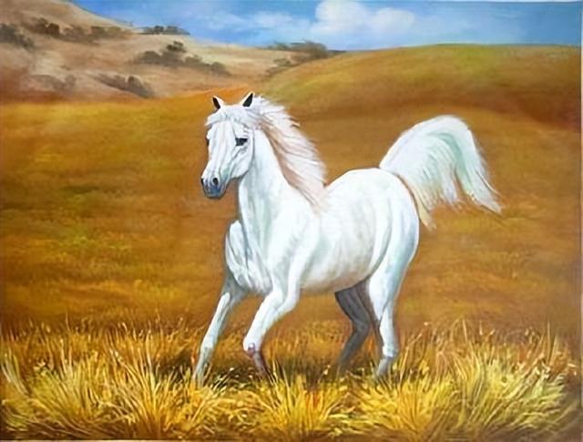 形容骏马的词语，有飞字的四字词语（点开文章看看有没有你知道的）