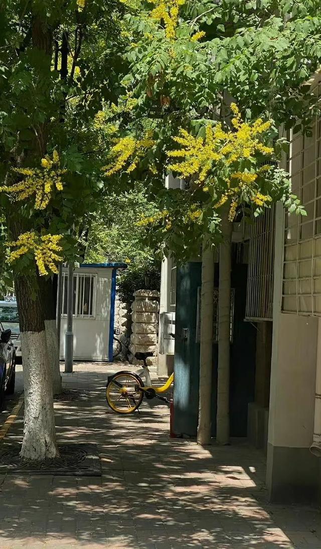 好看干净的背景图   夏天，好看干净的背景图书本天蓝色（夏日凉爽壁纸，更爱浅绿）