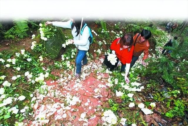 五彩米花糖做法图解，手工制作米花糖图片（5.20 凿进“天梯”里的爱）