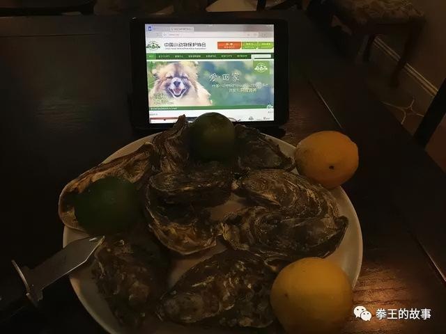 怀孕能吃生蚝吗，怀孕能吃生蚝吗前三个月（你真的了解生蚝吗）