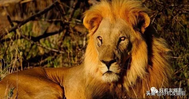 索尼a7和a7R有什么区别，索尼a7跟a7r的区别（先搞懂各代M、S、R型号的区别）