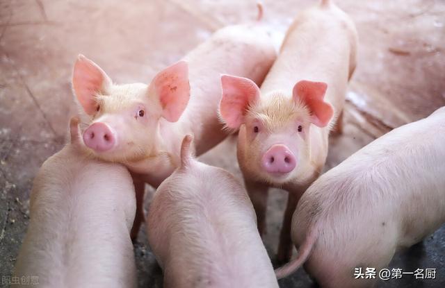 我们生活中的肉类有哪些，我们常吃的肉类有哪些（这3种肉能不吃就不吃）