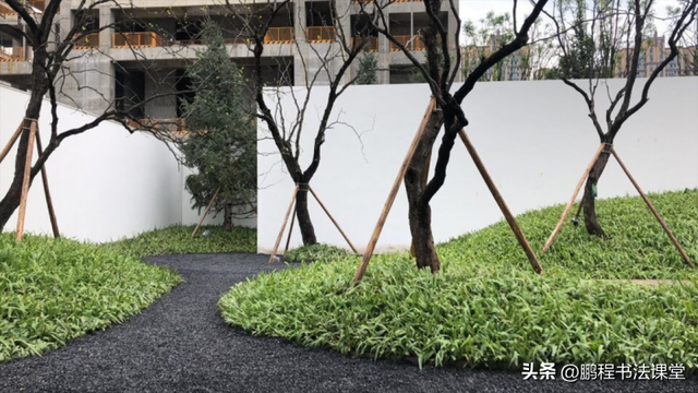 梦见植物是什么征兆，干货丨植物寓意篇