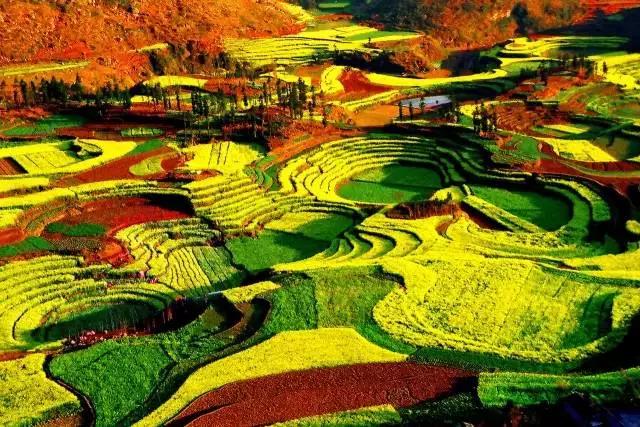 春天去哪里旅游好，这才是春天最值得去的20个地方（中国最美的30个地方）