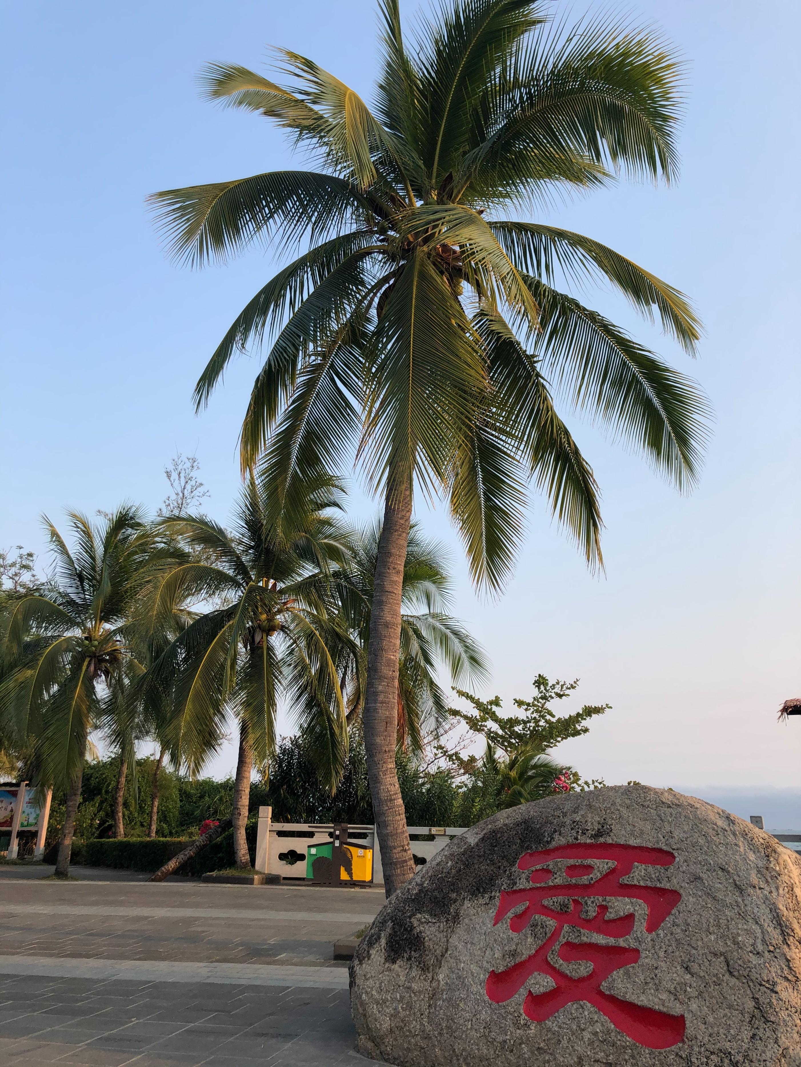 妈妈过生日送什么礼物好，妈妈生日送什么礼物好（<妈妈生日>礼物清单-50份礼物为大家备齐）