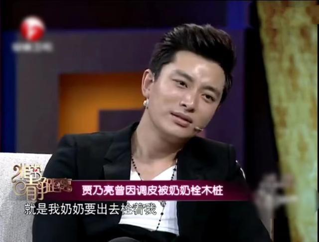 贾乃亮个人资料简介，贾乃亮个人资料简介及家世（再看贾乃亮和李小璐的婚姻）