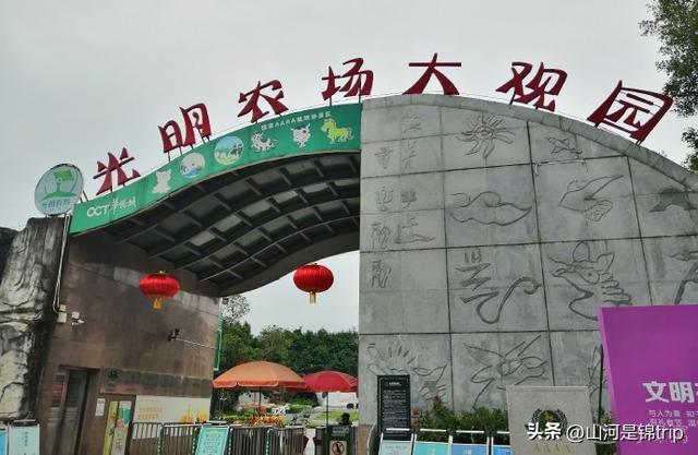 亲子游去哪里玩比较好，暑期亲子游（国内最具特色的十大亲子农场推荐）