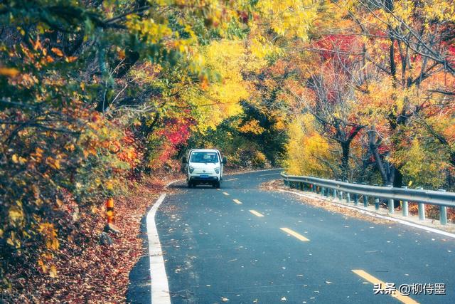 好看的照片风景，怎样才能拍出好看的风景照片（4句口诀让照片更有看点）