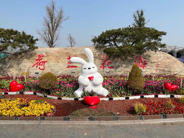 盐城荷兰花海旅游攻略，江苏大丰自驾游—梅花湾、荷兰花海、施耐庵公园