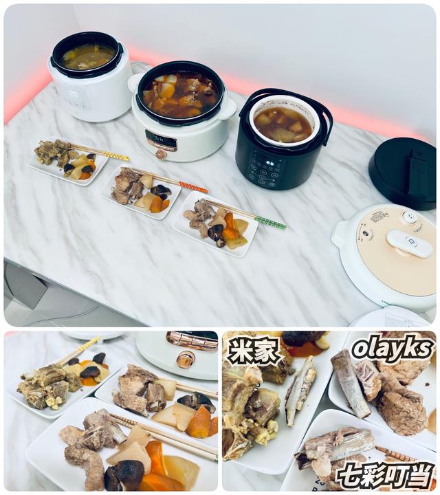 电压力锅炖排骨，电压力锅炖排骨做法（攻略+横评+实测）