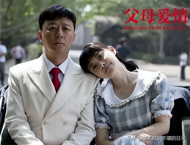 什么是家庭成分高，什么是家庭成分高的奶粉（《父母爱情》究竟有什么魔力）