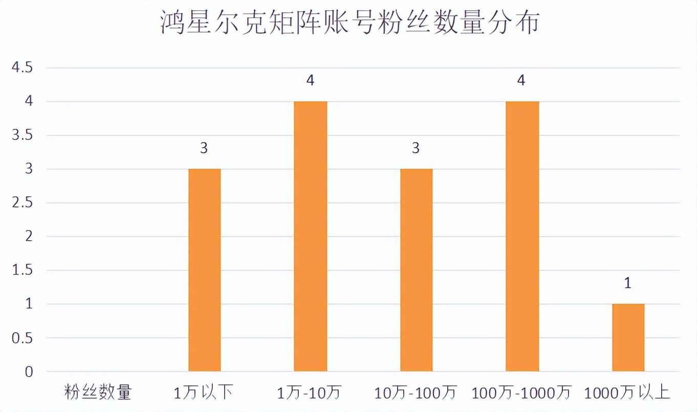 鸿心尔克（爆红一年后）