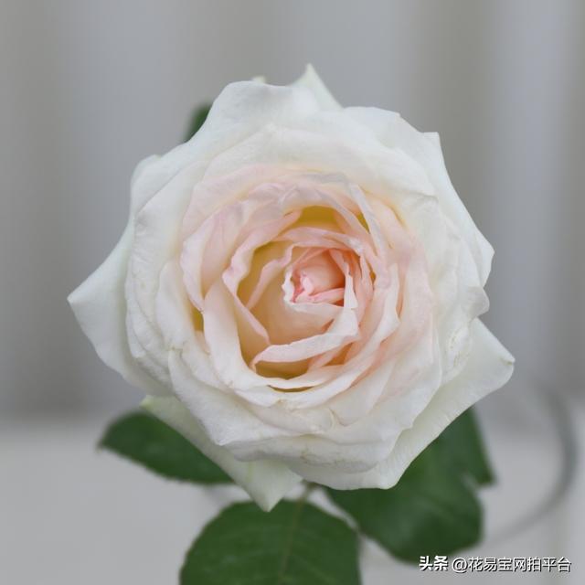 12种颜色的图片（2022秋冬十大流行色）