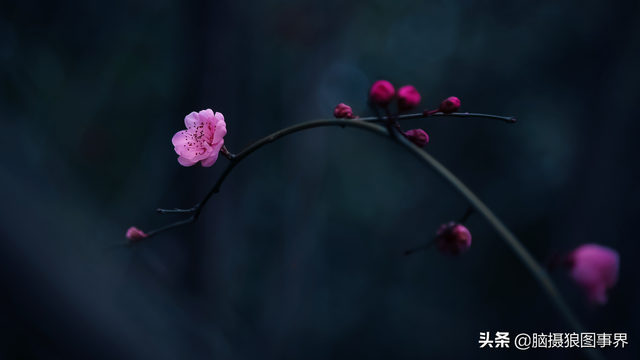 拍照片基本技巧，拍照片基本技巧和方法（可以提升照片的美感）