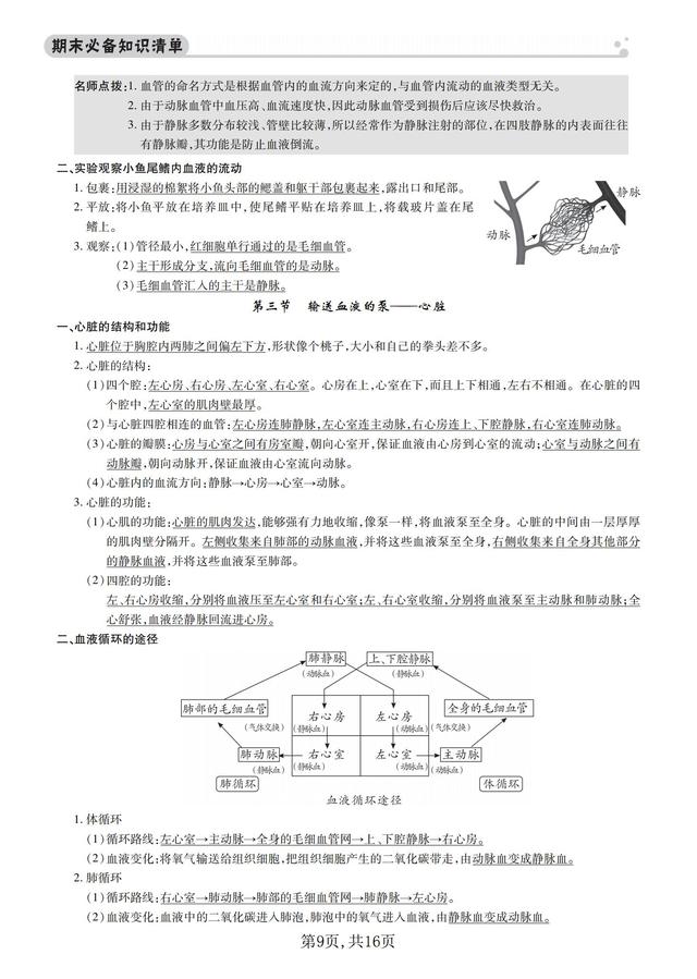 七年级生物知识点总结归纳，七年级生物知识点总结归纳上册（<七年级>生物下册期末30个考点）