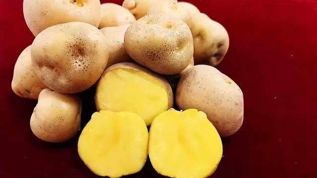 新土豆怎么做种子，从薯块繁殖到种子繁殖