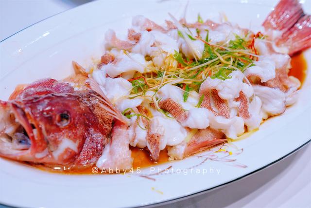 黄玉参梅花参刺参哪个营养最好，黄花参有什么作用（因为那里才是美食集聚地）