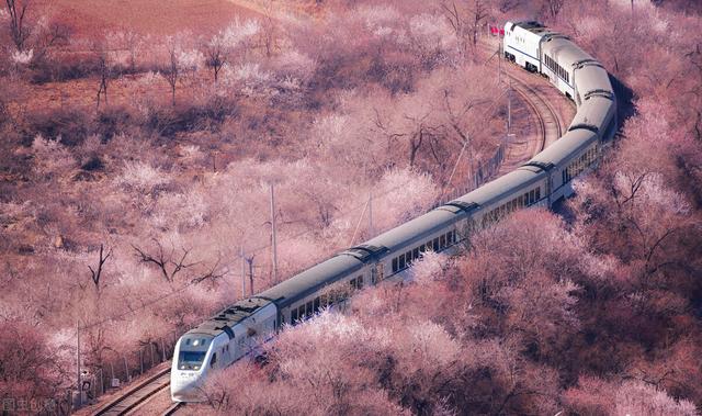 惦念一个人什么意思，思念一个人是什么意思（永远住在心里）