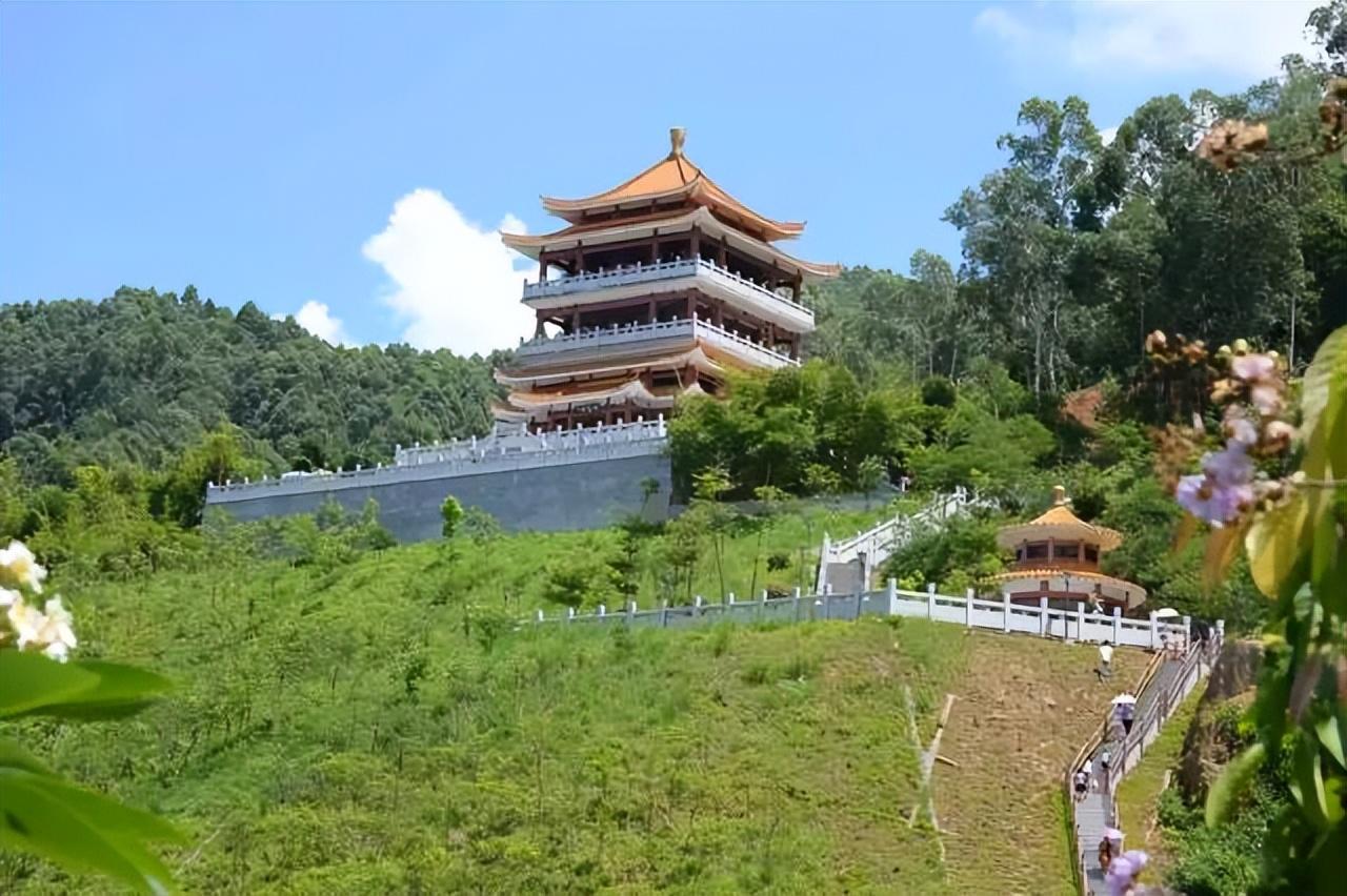 东莞自驾一日游更佳景点，打卡松山湖黄花风铃木+水濂山森林公园