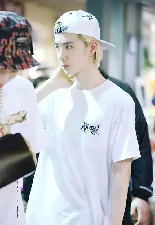 洛阳白牡丹——王一博，为什么叫王一博洛阳白牡丹（洛阳白牡丹—王一博图片）