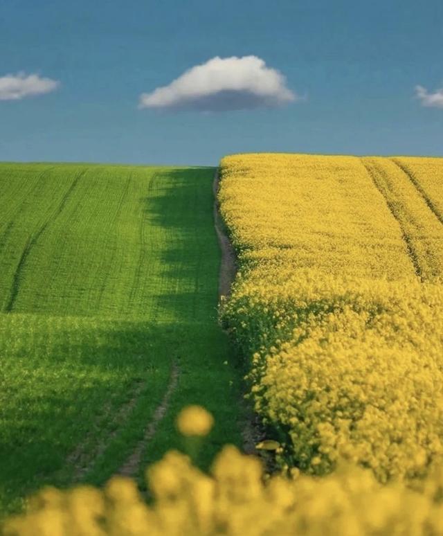 微信状态背景视频，微信怎么做状态背景视频（<有教程和配套农场状态背景图>）