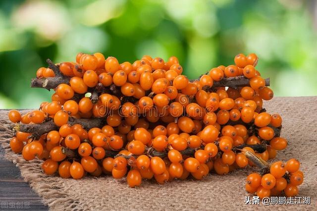 内蒙古的特产是什么包括食品等，内蒙古特产食品有哪些（除了赤峰大瓜子）