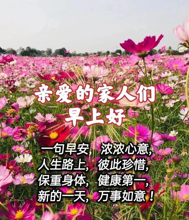 美好时光的句子，优美又简短的句子（早晨问安：一路向前）