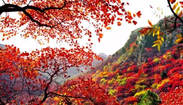 临朐旅游景点大全哪里最好，临朐有什么好玩的地方（～临朐风光欣赏）