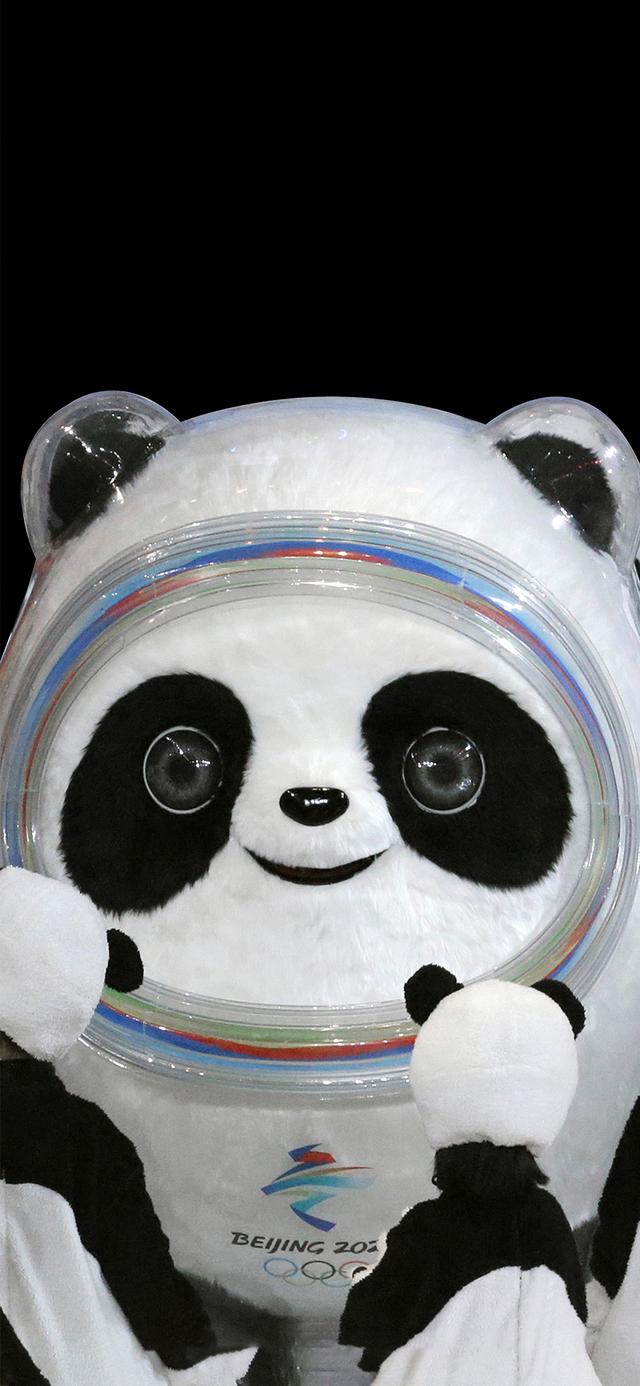 冰墩墩都有什么样的，冰墩墩高清壁纸（关于冰墩墩的介绍）