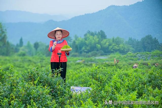 鱼米之乡是哪个城市，鱼米之乡是指哪个城市（湖北，你意想不到的鱼米之乡）