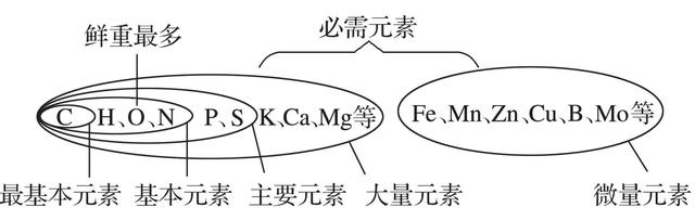 蔗糖是不是还原糖，麦芽糖和蔗糖是不是还原糖（高中生物易错题NO.2）