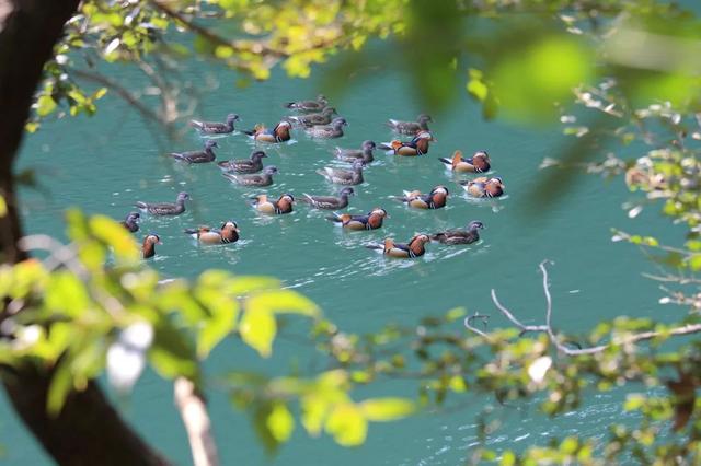 宁德白水洋风景区，白水洋一日游（爱游山的看过来。天下第一绝景~白水洋）