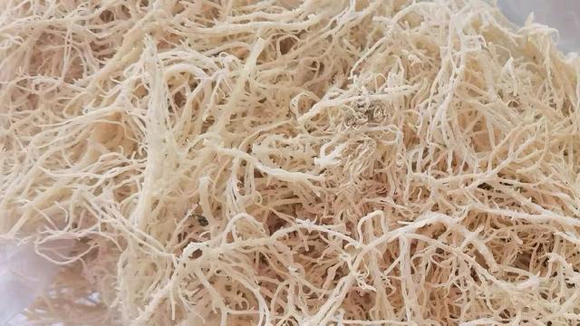 龙须菜是海里的吗，要多吃龙须菜