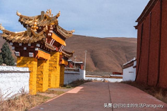 深度游览玉树文成公主庙，体验千年文化之旅