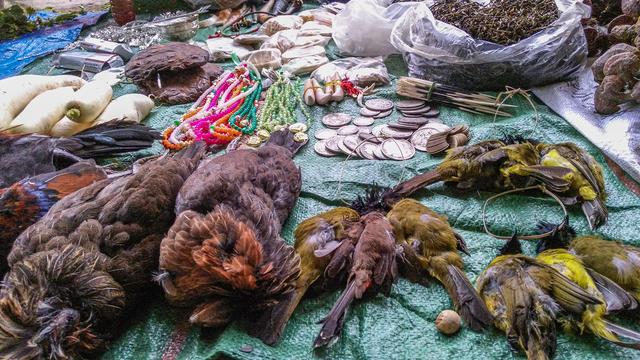 小勐拉属于哪个国家，小勐拉对面是中国哪里（初哥去过那个嘎腰子的缅北）