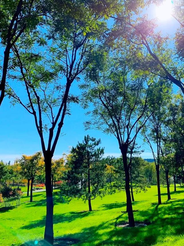 不如名师指路前面一句是什么，不如名师指路前面一句是什么成语（就是看透而不说透）