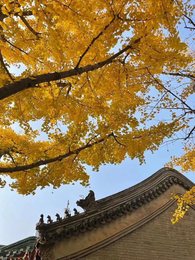 肃肃宵征夙夜在公什么意思，肃肃宵征夙夜在公是加班还是辞职（源自《诗经》的成语）