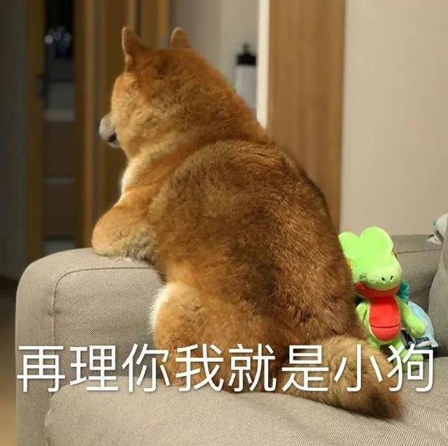 哼唧唧歪歪，微信头像，哼唧唧歪歪（猫猫狗狗表情包/哼哼）