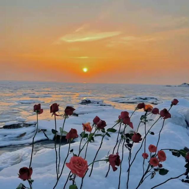 孤单的背影图片，孤单背影（ins原图头像壁纸微信背景图）