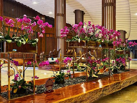 近乎完美的体验，入住报告，三亚维也纳国际酒店