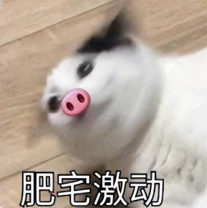 腾达ac10和tplinkac1900对比，多款百元级路由器