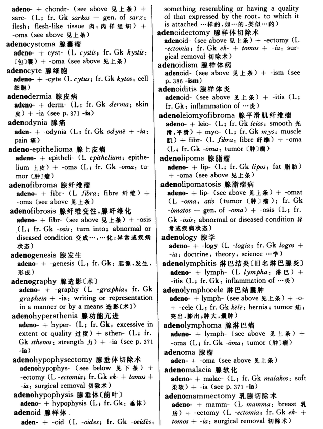 常用英文名字，酒店常用英文名字（认识9百个拉丁语常用字拥抱科技创新）