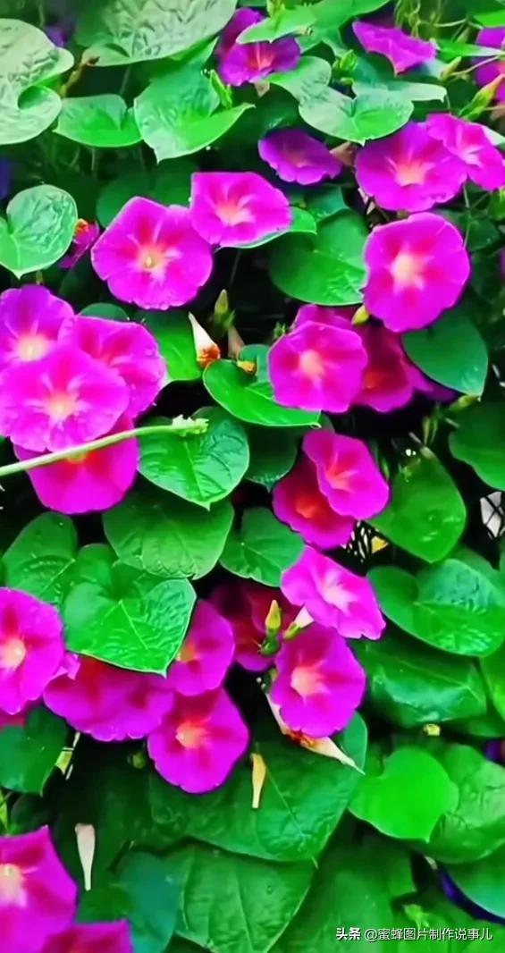 美美美的，美美美的表情包（壁纸美图）