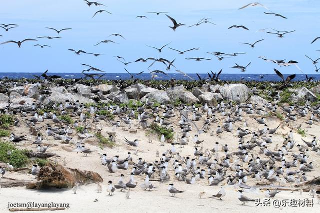 南沙群岛最大的自然岛屿是什么岛，南沙群岛最大的自然岛面积为0.43平方公里,其名字（中国只用一年将其扩大为36倍）